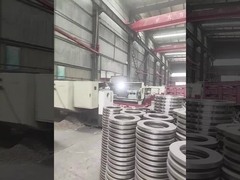 بزرگ معدن بلند کردن دیسک ترمز دیسک بهار شستشو برای وینچ Citicic